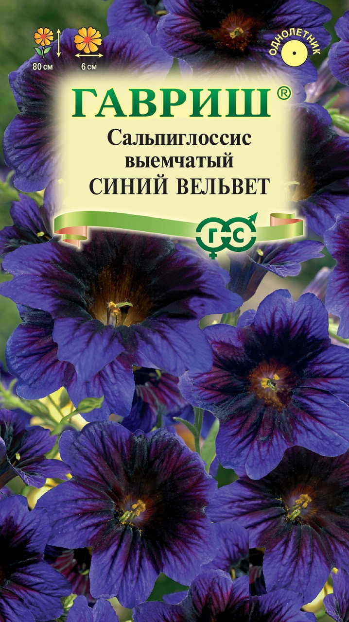 Сальпиглоссис Купить