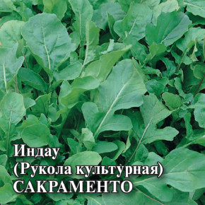 Семена Индау (Рукола культурная) Сакраменто, 25г, Гавриш, Фермерское подворье