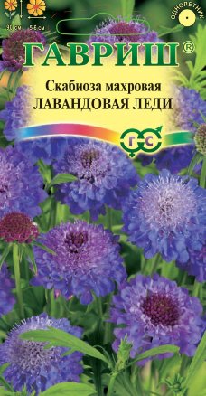 Семена Скабиоза пурпурная Лавандовая леди, 0,5г, Гавриш, Цветочная коллекция