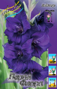 Гладиолус Пурпл Флора (Purple Flora), 5шт, Color Line