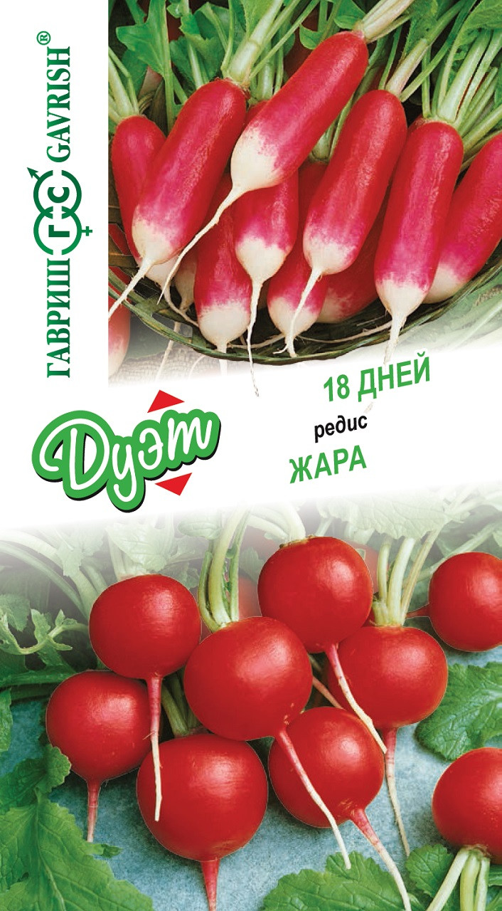Редис Жара Описание Сорта Фото