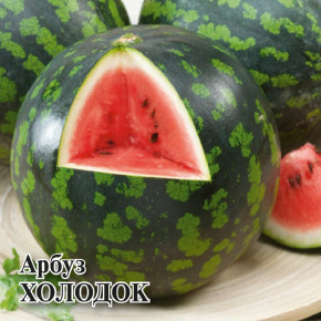 Семена Арбуз Холодок, 100г, Гавриш, Фермерское подворье