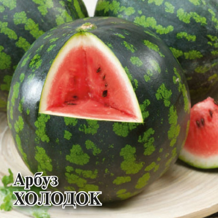 Семена Арбуз Холодок, 100г, Гавриш, Фермерское подворье