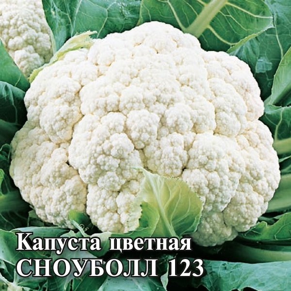 Капуста цветная сноуболл схема посадки