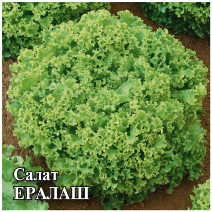 Семена Салат листовой Ералаш, 50г, Гавриш, Фермерское подворье