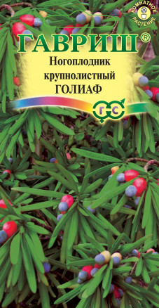 Семена Ногоплодник крупнолистный Голиаф, 3шт, Гавриш, Цветочная коллекция