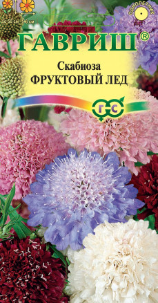 Семена Скабиоза пурпурная Фруктовый лед, смесь, 0,3г, Гавриш, Цветочная коллекция
