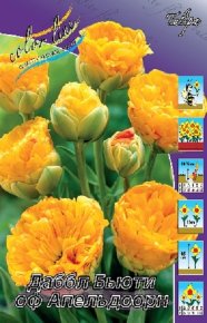 Тюльпан Даббл Бьюти оф Апельдоорн (Tulipa Double Beauty of Apeldoorn), 10шт, Color Line