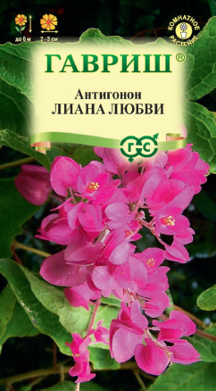 Семена Антигонон Лиана любви, 5шт, Гавриш, Цветочная коллекция