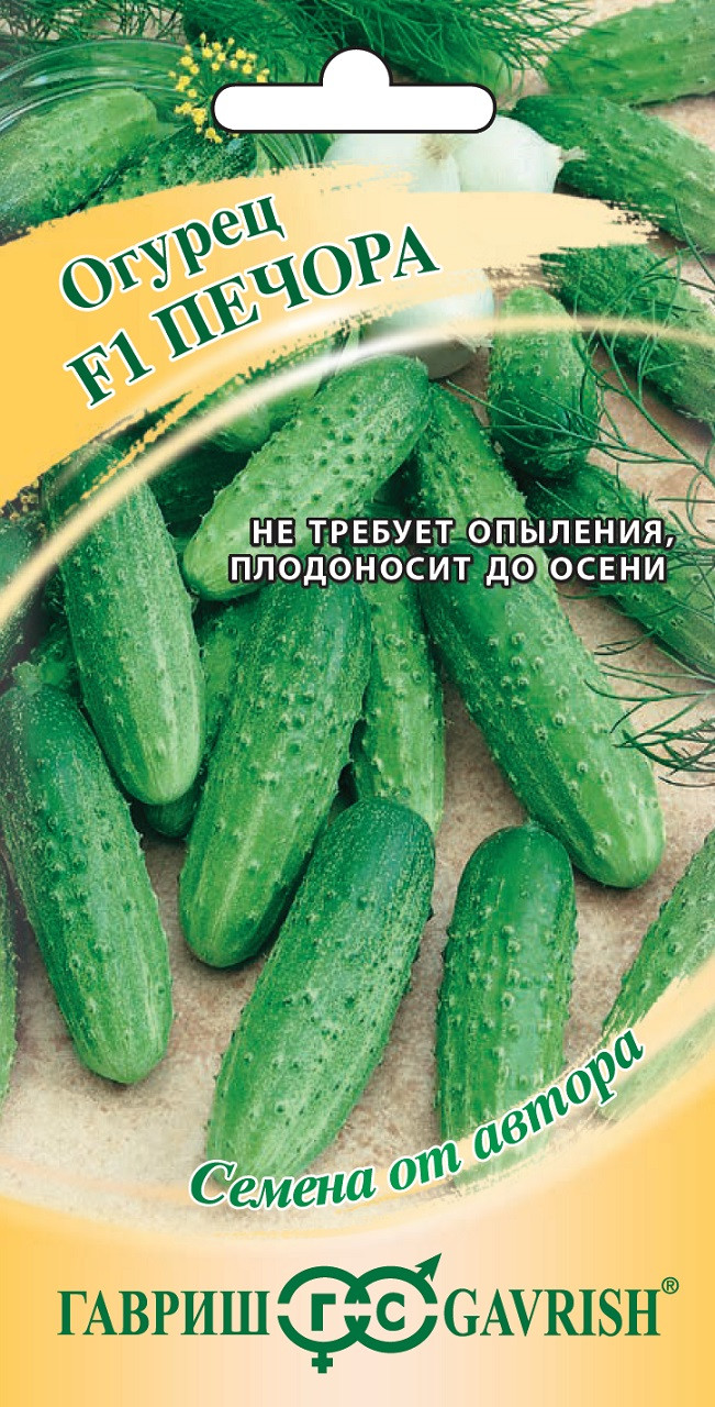 ✓ Семена Огурец Печора, 10шт, Гавриш, Семена от автора по цене 39,20 руб. ◈  Большой выбор ◈ Купить по всей России ✓ Интернет-магазин Гавриш ☎  8-495-902-77-18