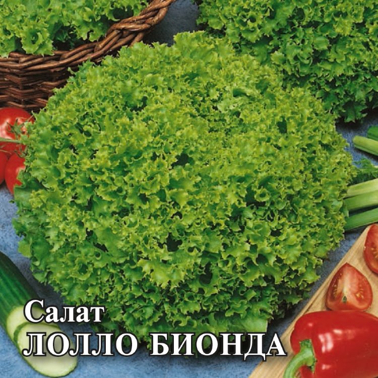Купить Семена Салатов В Интернет Магазине