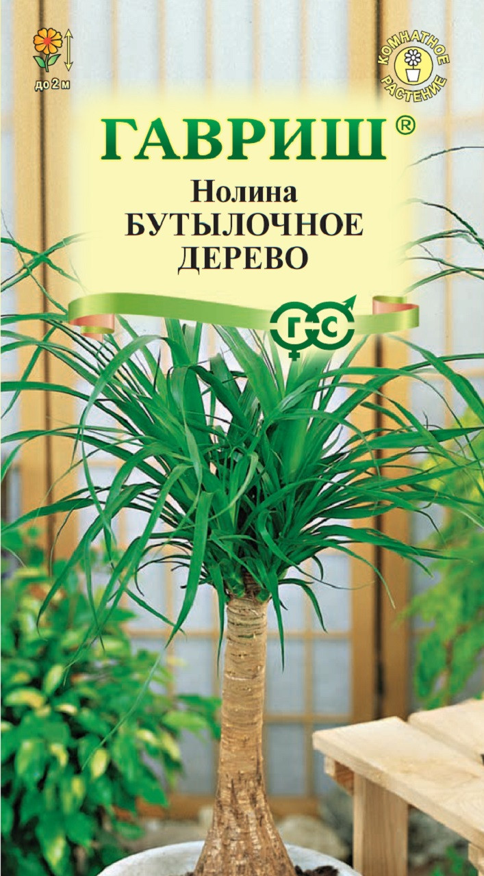 ✓ Семена Нолина Бутылочное дерево, 3шт, Гавриш, Цветочная коллекция по цене  46,20 руб. ◈ Большой выбор ◈ Купить по всей России ✓ Интернет-магазин  Гавриш ☎ 8-495-902-77-18