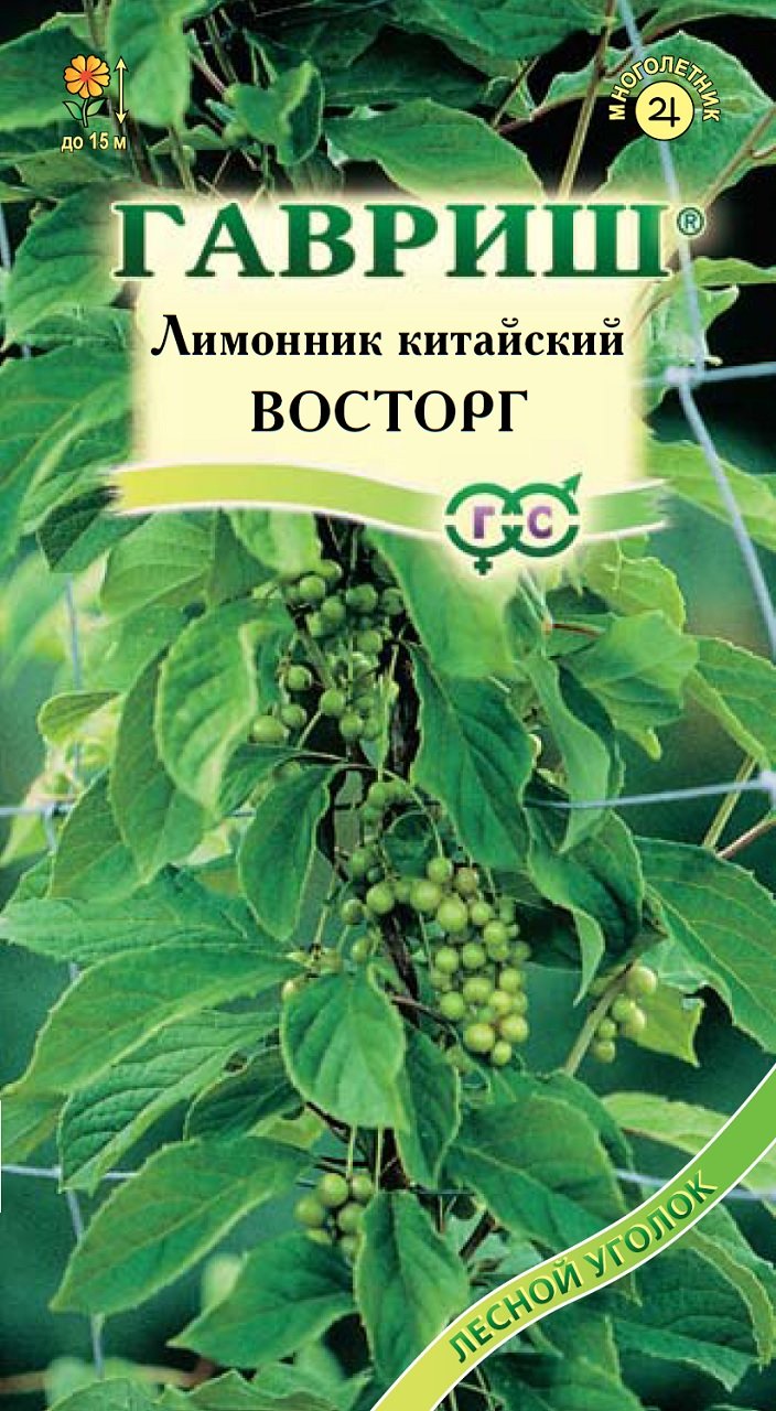 Ягоды Лимонника Китайского Купить В Аптеке