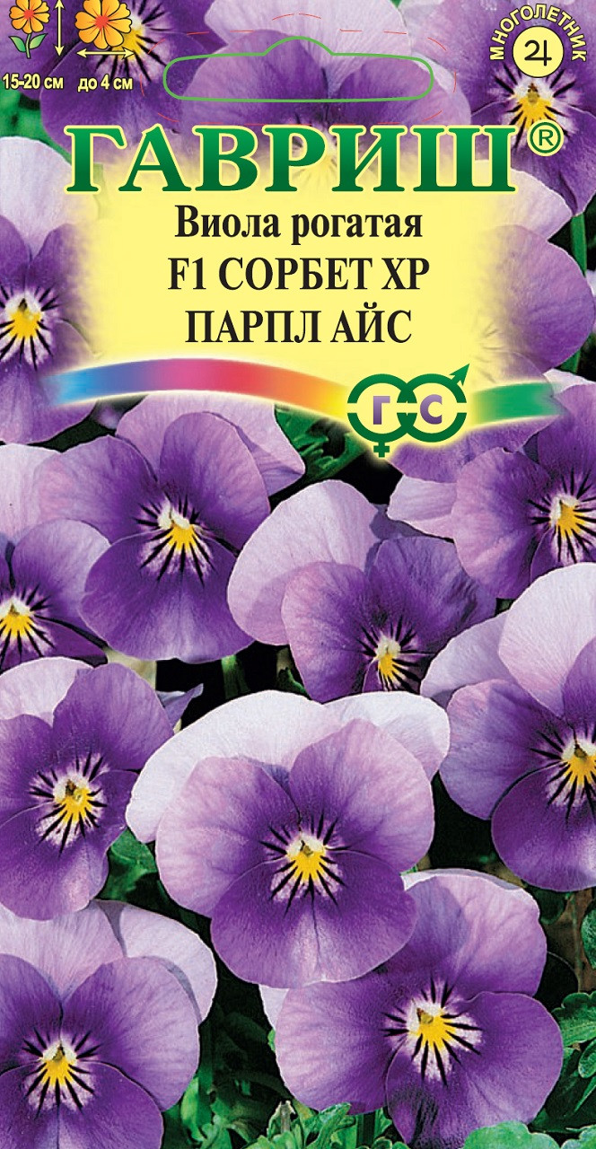 Виола Рогатая Купить Семена