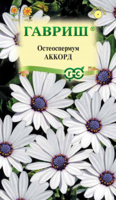 Семена Остеоспермум Аккорд, 0,1г, Гавриш, Цветочная коллекция