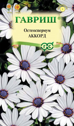 Семена Остеоспермум Аккорд, 0,1г, Гавриш, Цветочная коллекция
