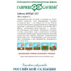 Семена Свекла Бордо 237, 100г, Гавриш, Фермерское подворье