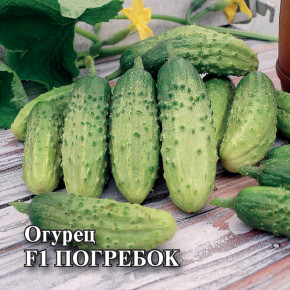 Семена Огурец Погребок F1, 100шт, Гавриш, Фермерское подворье