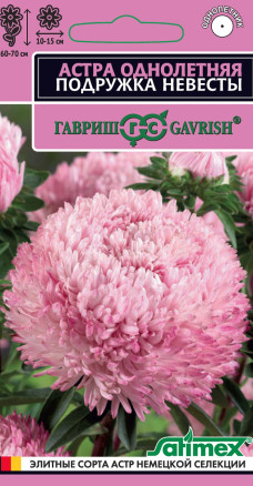 Семена Астра Подружка невесты, 0,05г, Гавриш, Satimex