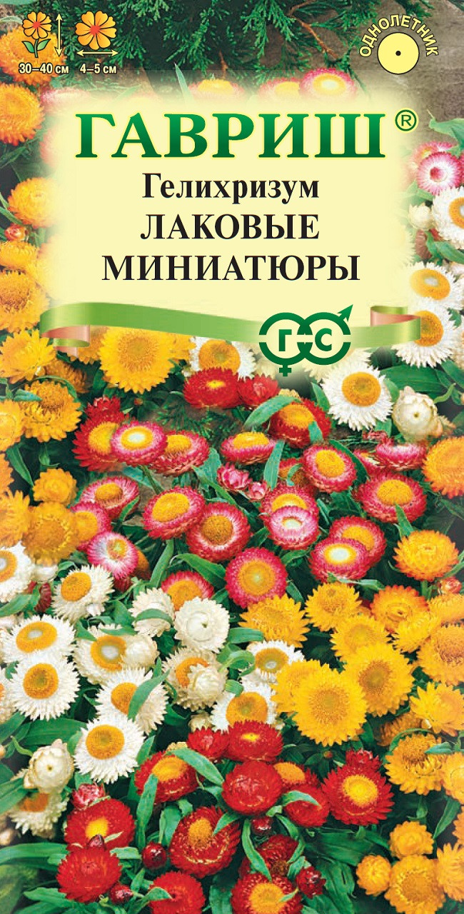 Купить гелихризум низкорослый, смесь (опт) по цене 18,72 руб. в интернет магазин