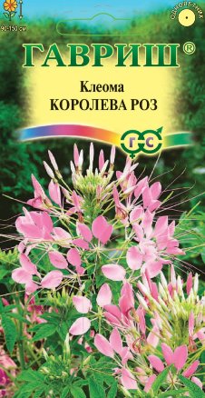 Семена Клеома Королева роз, 0,3г, Гавриш, Цветочная коллекция