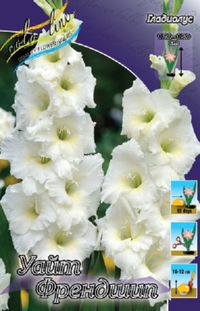 Гладиолус Уайт Френдшип (White Friendship), 10шт, Color Line