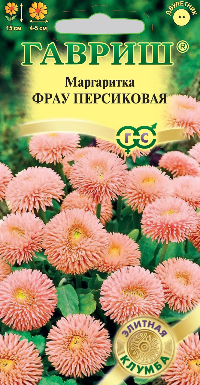 Маргаритки Семена Купить