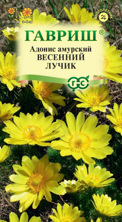 Семена Адонис амурский (Горицвет) Весенний лучик, 0,05г, Гавриш, Цветочная коллекция