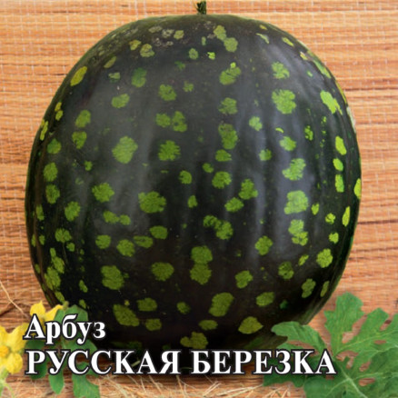Семена Арбуз Русская Березка, 50г, Гавриш, Фермерское подворье