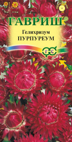 Семена Гелихризум Пурпуреум, 0,2г, Гавриш, Цветочная коллекция
