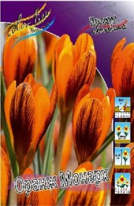 Крокус Оранж Монарх (Crocus Orange Monarch), 10шт, Color Line