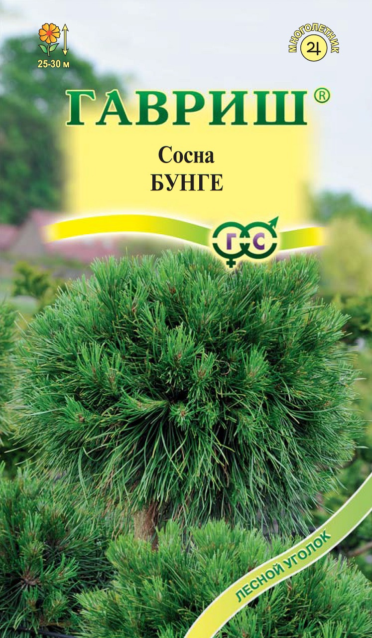 Купить Сухую Сосну В Спб