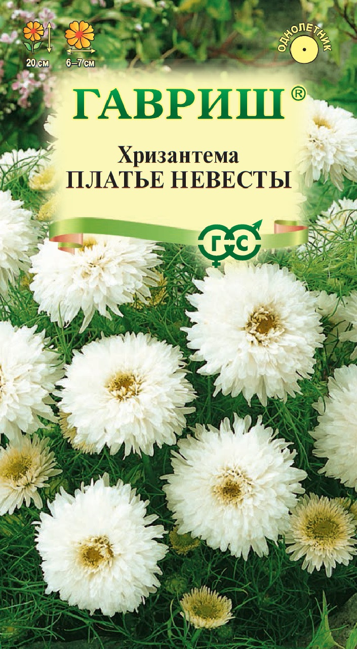 Хризантема Семена Купить В Спб